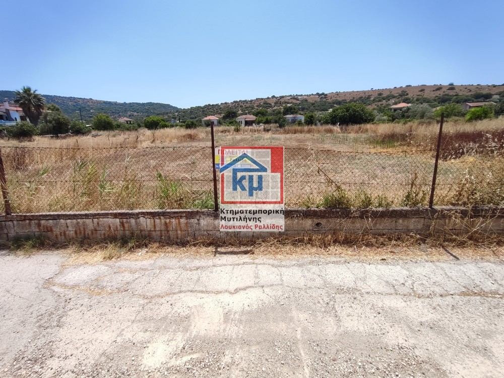 Οικόπεδο 1.487 τ.μ. πρός πώληση, Ν. Λέσβου, Λέσβος - Πολιχνίτος