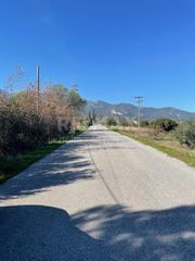 Αγροτεμάχια 3.583 τ.μ. για πώληση