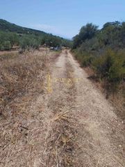 Αγροτεμάχια 1.500 τ.μ. για πώληση, Ν. Καβάλας, Ελευθερές-thumb-5