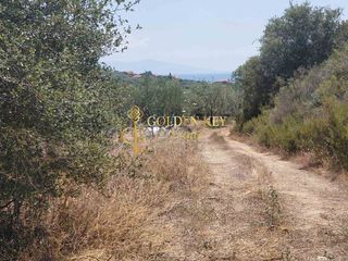 Αγροτεμάχια 1.500 τ.μ. για πώληση, Ν. Καβάλας, Ελευθερές-thumb-6