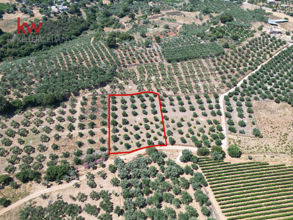 Αγροτεμάχια 2.855,20 τ.μ. προς πώληση, Κεράμια