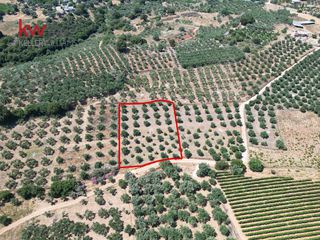 Αγροτεμάχια 2.855,20 τ.μ. για πώληση, Ν. Χανίων, Κεράμια-thumb-1