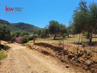 Αγροτεμάχια 2.855,20 τ.μ. για πώληση, Ν. Χανίων, Κεράμια-thumb-13