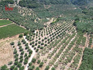 Αγροτεμάχια 2.855,20 τ.μ. για πώληση, Ν. Χανίων, Κεράμια-thumb-8