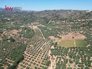Αγροτεμάχια 2.855,20 τ.μ. για πώληση, Ν. Χανίων, Κεράμια-thumb-6