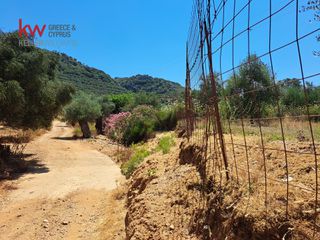 Αγροτεμάχια 2.855,20 τ.μ. για πώληση, Ν. Χανίων, Κεράμια-thumb-15