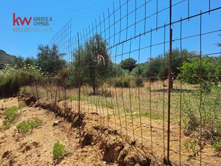 Αγροτεμάχια 2.855,20 τ.μ. για πώληση, Ν. Χανίων, Κεράμια-thumb-14