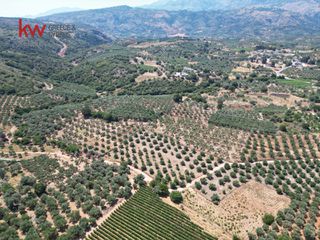 Αγροτεμάχια 2.855,20 τ.μ. για πώληση, Ν. Χανίων, Κεράμια-thumb-2