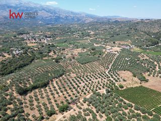 Αγροτεμάχια 2.855,20 τ.μ. για πώληση, Ν. Χανίων, Κεράμια-thumb-4