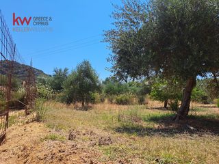Αγροτεμάχια 2.855,20 τ.μ. για πώληση, Ν. Χανίων, Κεράμια-thumb-17