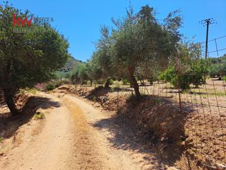 Αγροτεμάχια 2.855,20 τ.μ. για πώληση, Ν. Χανίων, Κεράμια-thumb-21