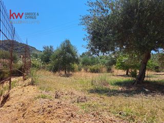 Αγροτεμάχια 2.855,20 τ.μ. για πώληση, Ν. Χανίων, Κεράμια-thumb-16