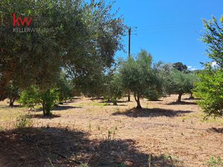 Αγροτεμάχια 2.855,20 τ.μ. για πώληση, Ν. Χανίων, Κεράμια-thumb-20
