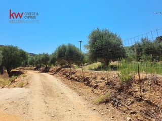 Αγροτεμάχια 2.855,20 τ.μ. για πώληση, Ν. Χανίων, Κεράμια-thumb-23