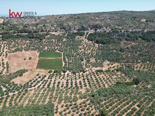 Αγροτεμάχια 2.855,20 τ.μ. για πώληση, Ν. Χανίων, Κεράμια-thumb-9
