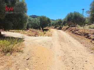 Αγροτεμάχια 2.855,20 τ.μ. για πώληση, Ν. Χανίων, Κεράμια-thumb-22
