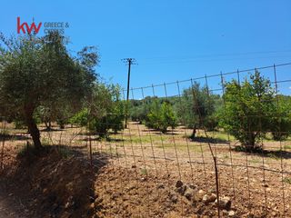 Αγροτεμάχια 2.855,20 τ.μ. για πώληση, Ν. Χανίων, Κεράμια-thumb-18