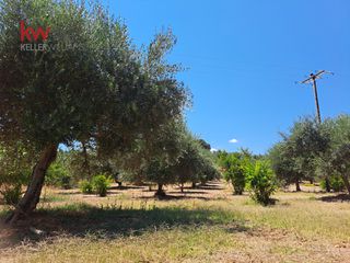 Αγροτεμάχια 2.855,20 τ.μ. για πώληση, Ν. Χανίων, Κεράμια-thumb-12