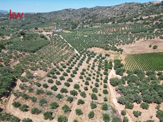 Αγροτεμάχια 2.855,20 τ.μ. για πώληση, Ν. Χανίων, Κεράμια-thumb-5