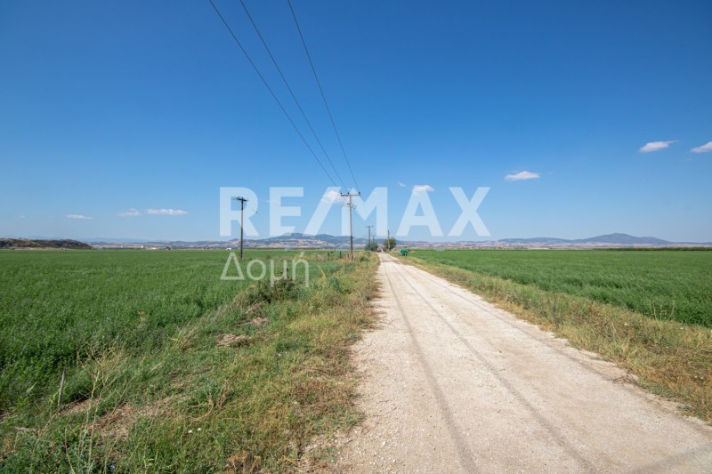 Αγροτεμάχια 33.571 τ.μ. πρός πώληση, Μαγνησία, Κάρλα