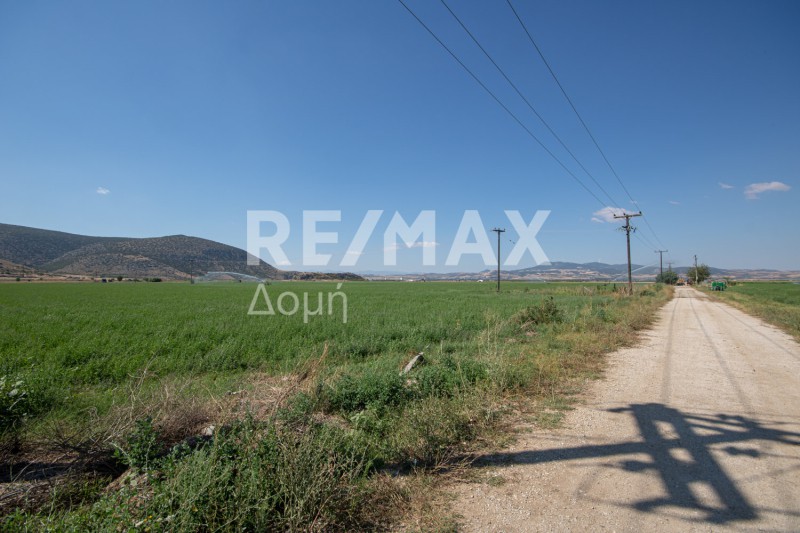 Αγροτεμάχια 33.571 τ.μ. πρός πώληση, Μαγνησία, Κάρλα