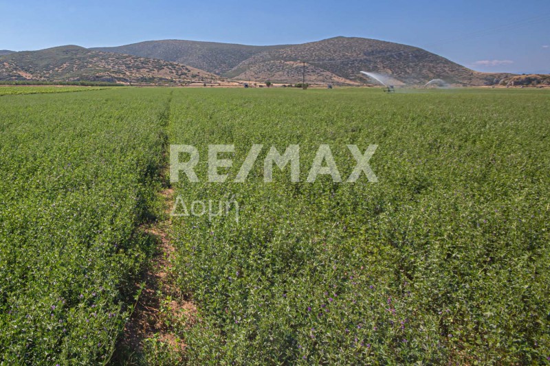 Αγροτεμάχια 33.571 τ.μ. πρός πώληση, Μαγνησία, Κάρλα