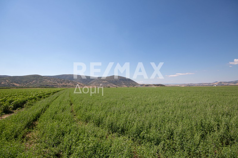 Αγροτεμάχια 33.571 τ.μ. πρός πώληση, Μαγνησία, Κάρλα