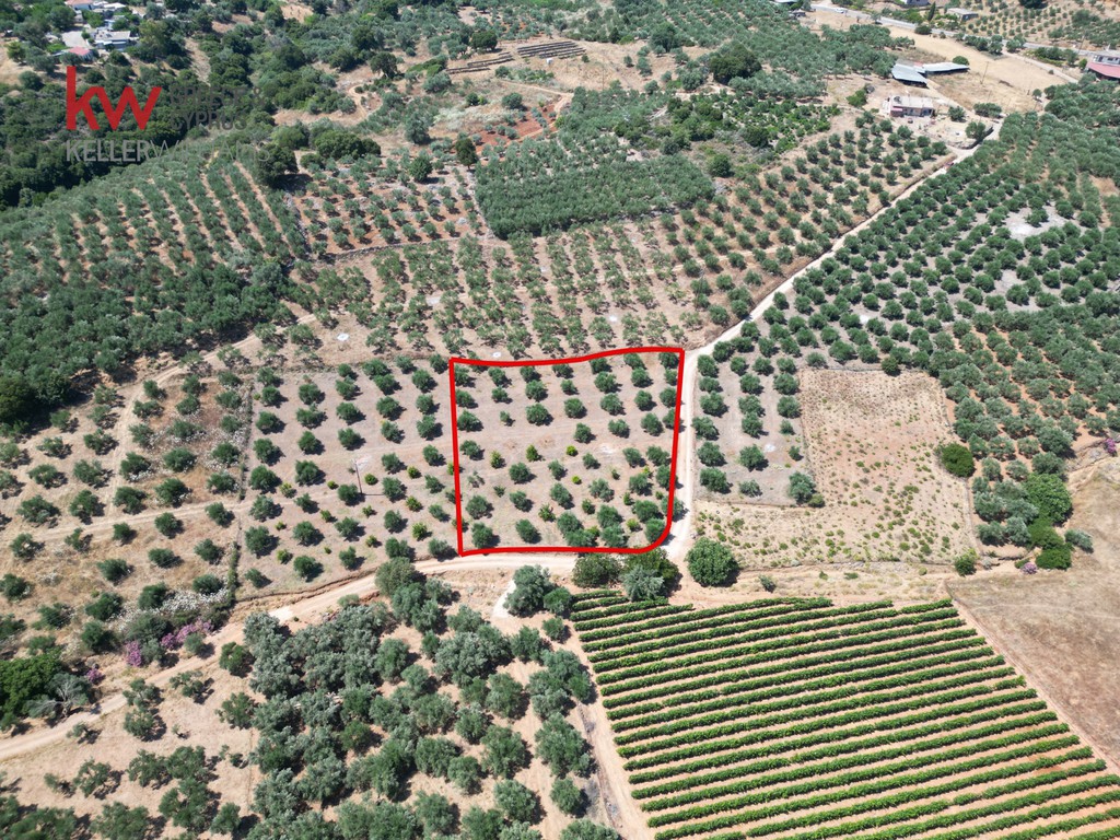 Αγροτεμάχια 2.855,35 τ.μ. προς πώληση, Κεράμια