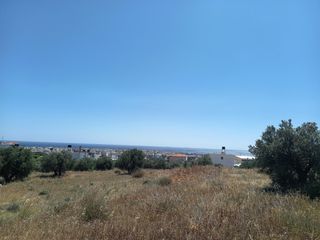 Οικόπεδο 33.788 τ.μ. προς πώληση, Καλλιθέα Ιεράπετρας-thumb-8