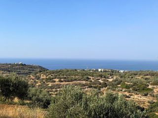 Αγροτεμάχια 17.923 τ.μ. για πώληση