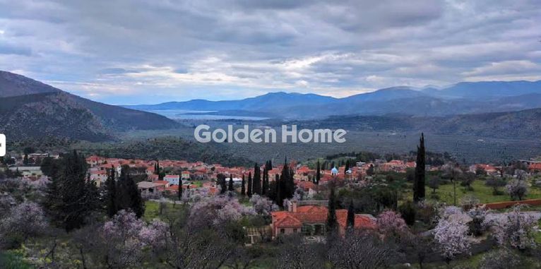 Οικόπεδο 800 τ.μ. για πώληση, Φωκίδα, Δελφοί