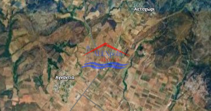 Αγροτεμάχια 12.841 τ.μ. πρός πώληση, Εβρος, Τραϊανούπολη
