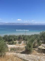 Οικόπεδο 4.338 τ.μ. για πώληση