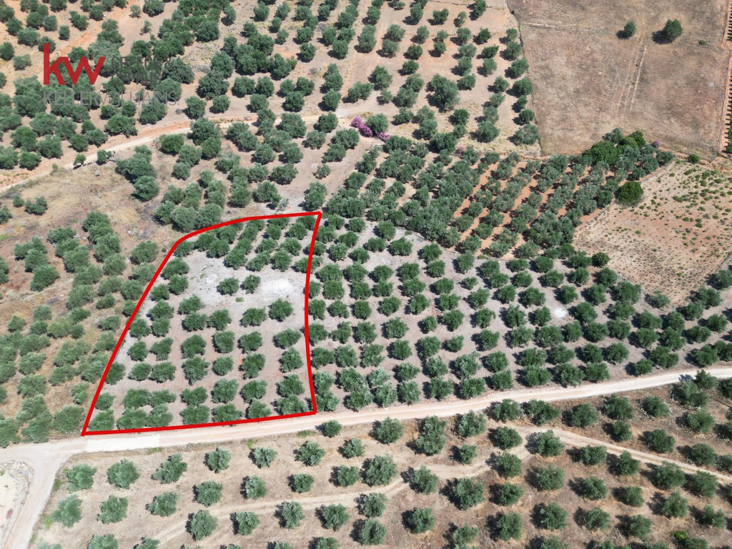 Αγροτεμάχια 3.288,68 τ.μ. προς πώληση, Κεράμια