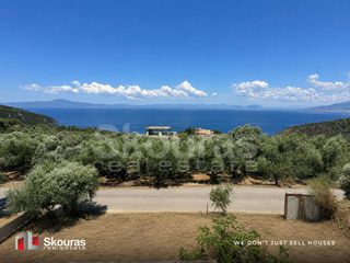 Μονοκατοικία 125 τ.μ. για πώληση, Μεσσηνία, Αβία-thumb-9