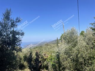 Οικόπεδο 4.172 τ.μ. για πώληση