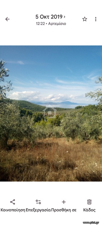 Αγροτεμάχια 4.220 τ.μ. προς πώληση, Γούβες Αρτεμισίου