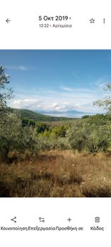 Αγροτεμάχια 4.220 τ.μ. προς πώληση