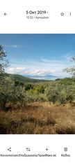 Parcel 4.220 sqm for sale