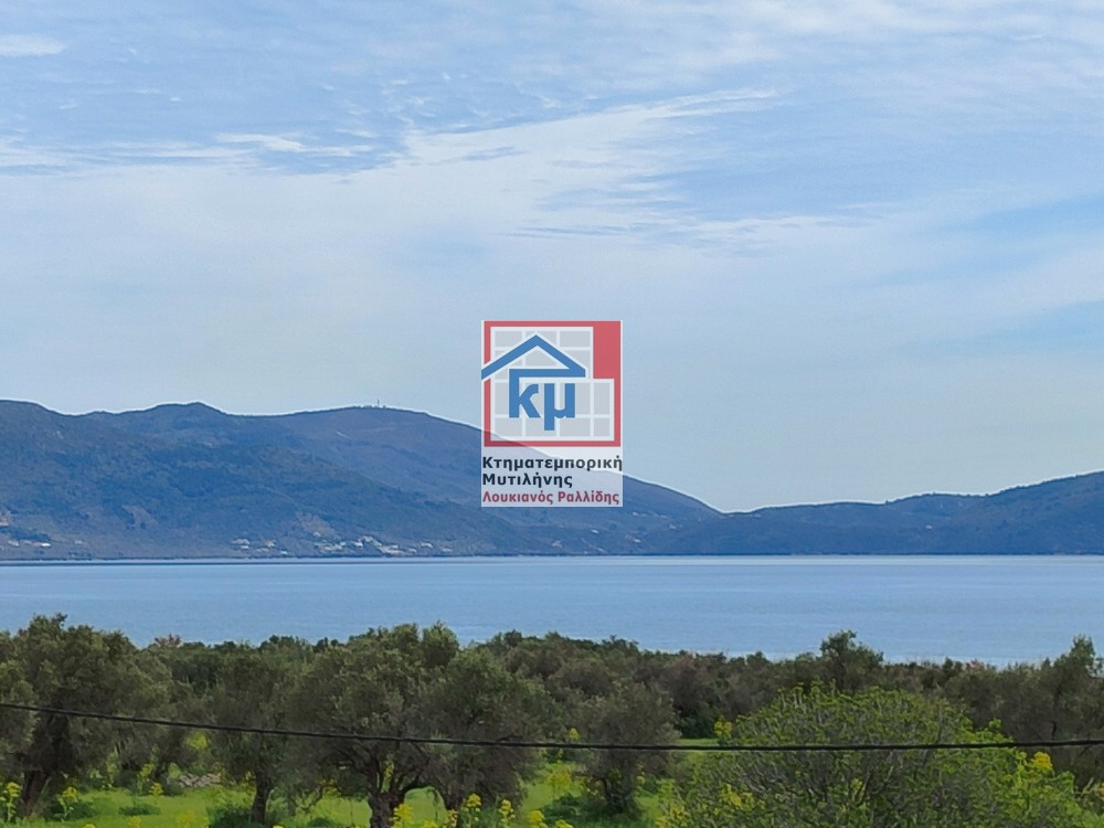 Κατάστημα 1.800 τ.μ. πρός πώληση, Ν. Λέσβου, Λέσβος - Μυτιλήνη