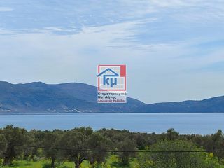 Κατάστημα 1.800 τ.μ. για πώληση