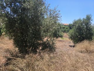 Οικόπεδο 1.398 τ.μ. για πώληση