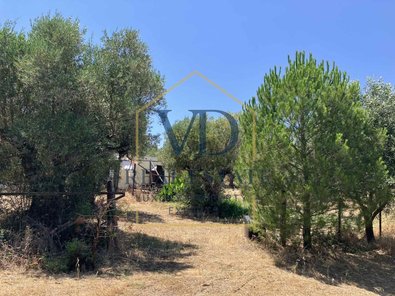 Αγροτεμάχια 3.600 τ.μ. πρός πώληση, Χαλκιδική, Μουδανιά