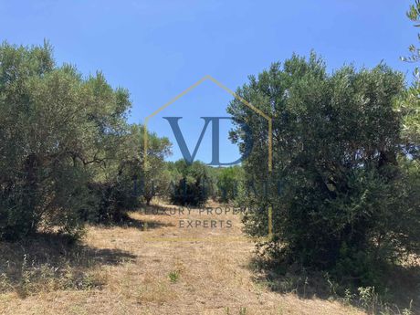 Αγροτεμάχια 3.600 τ.μ. πρός πώληση