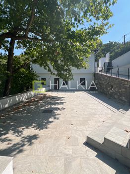 Μονοκατοικία 453 τ.μ. προς πώληση