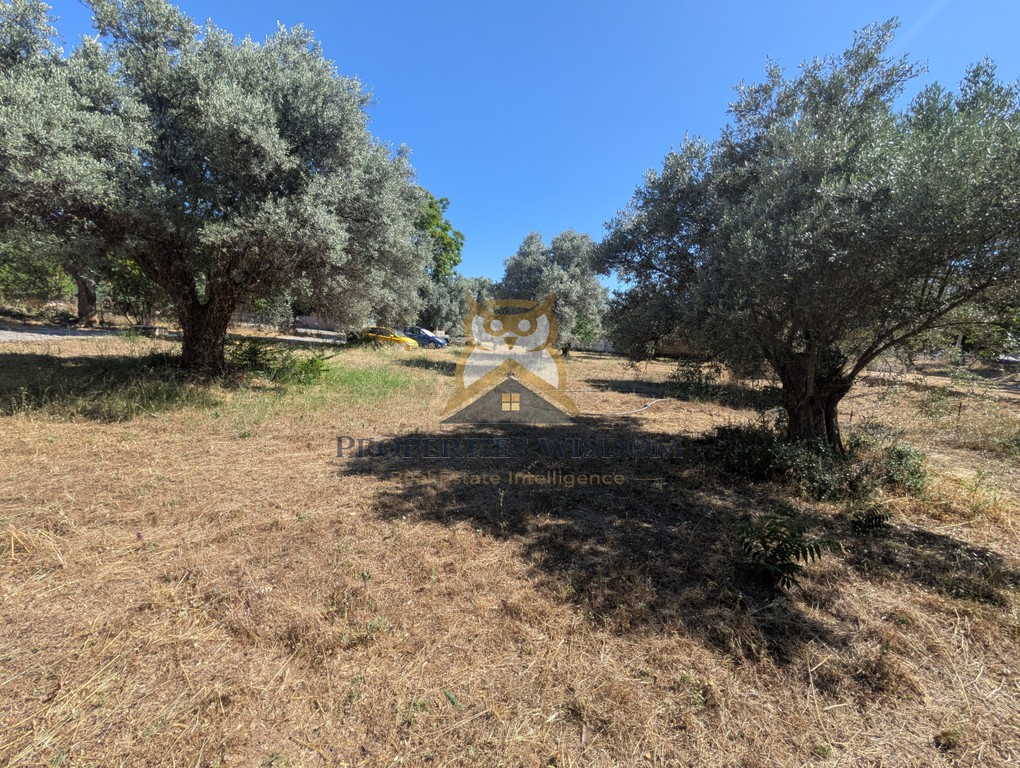 Οικόπεδο 1.000 τ.μ. προς πώληση, Κάτω Ψαλίδι