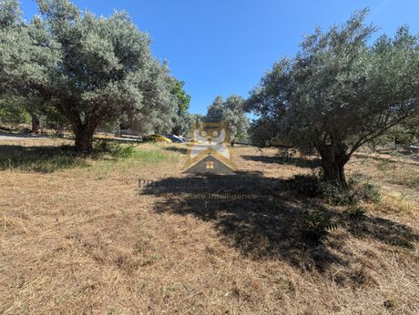 Οικόπεδο 1.000 τ.μ. προς πώληση
