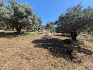 Οικόπεδο 1.000 τ.μ. για πώληση