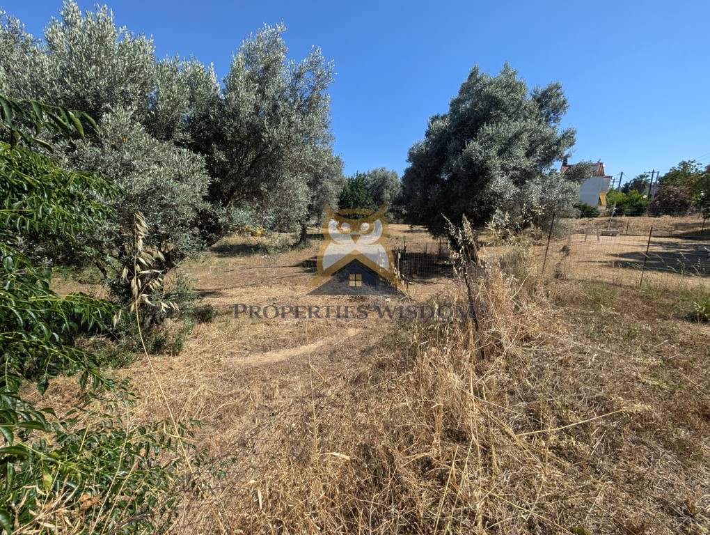 Οικόπεδο 1.000 τ.μ. προς πώληση, Κάτω Ψαλίδι