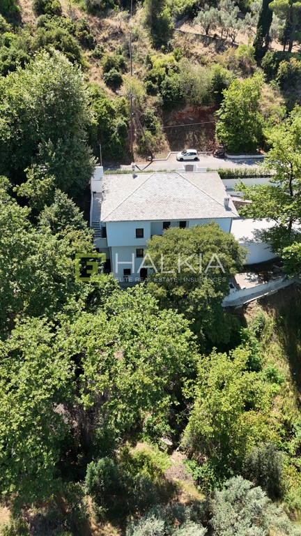 Διαμέρισμα 172 τ.μ. πρός πώληση, Μαγνησία, Πορταριά